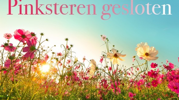 2 DE PINKSTERDAG